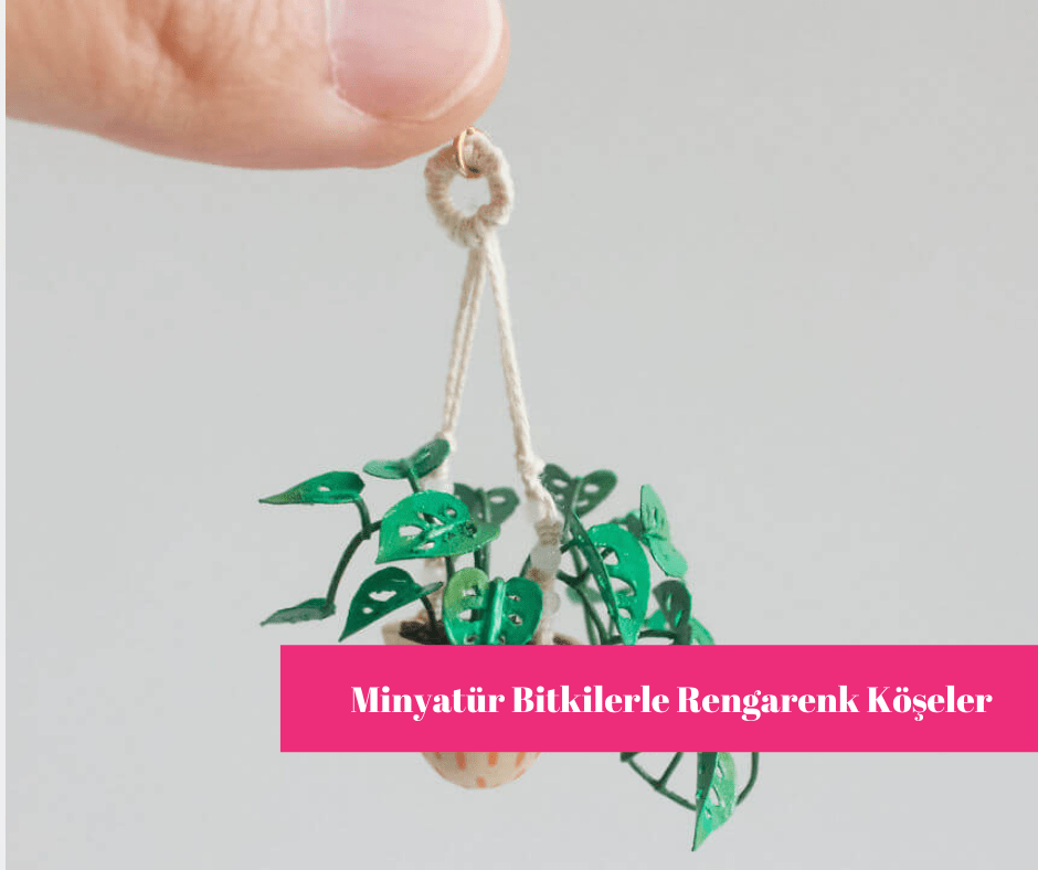 Minyatür Bitkilerle Rengarenk Köşeler